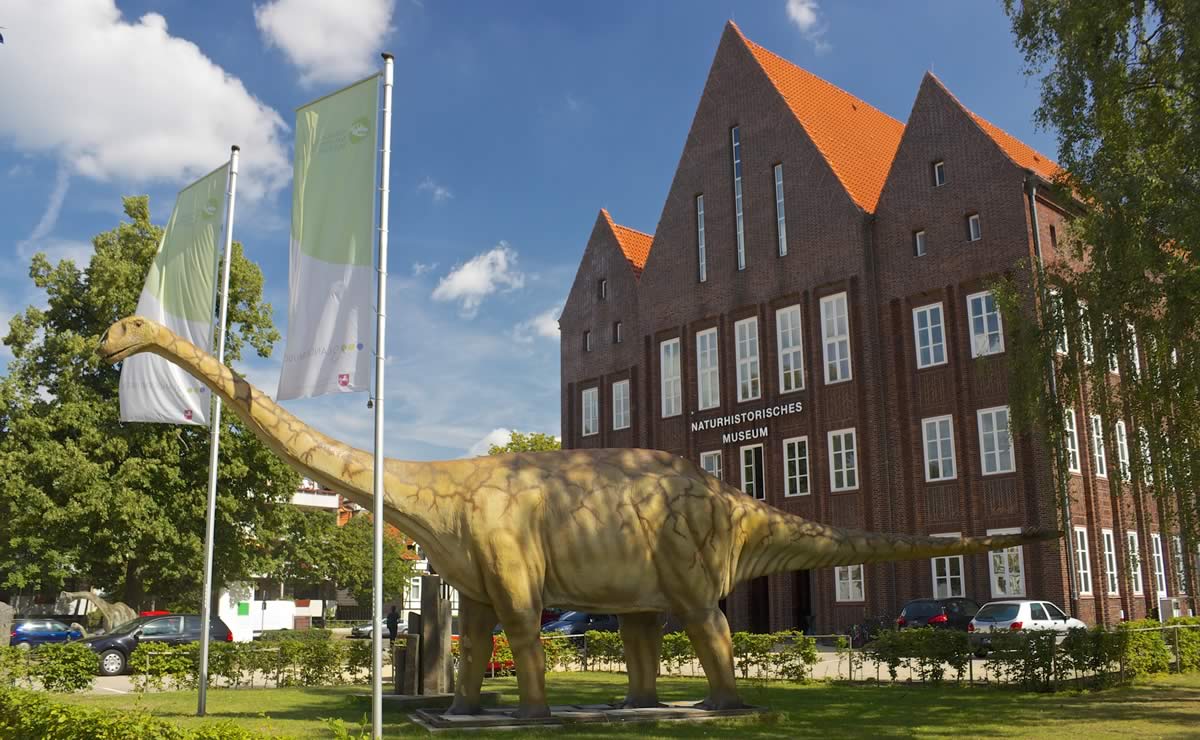 Das Hotel 'An der Stadthalle' in Braunschweig bietet mit liebe zum Detail ausgestattete Zimmer und schallisolierte Fenster für eine ungestörte Übernachtung in Braunschweig.